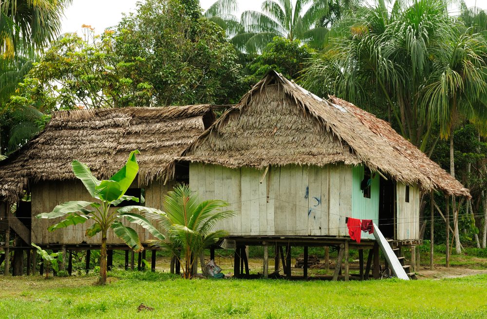 Indigenous communities who live on the edge of the Amazon river have adapted to life here. 