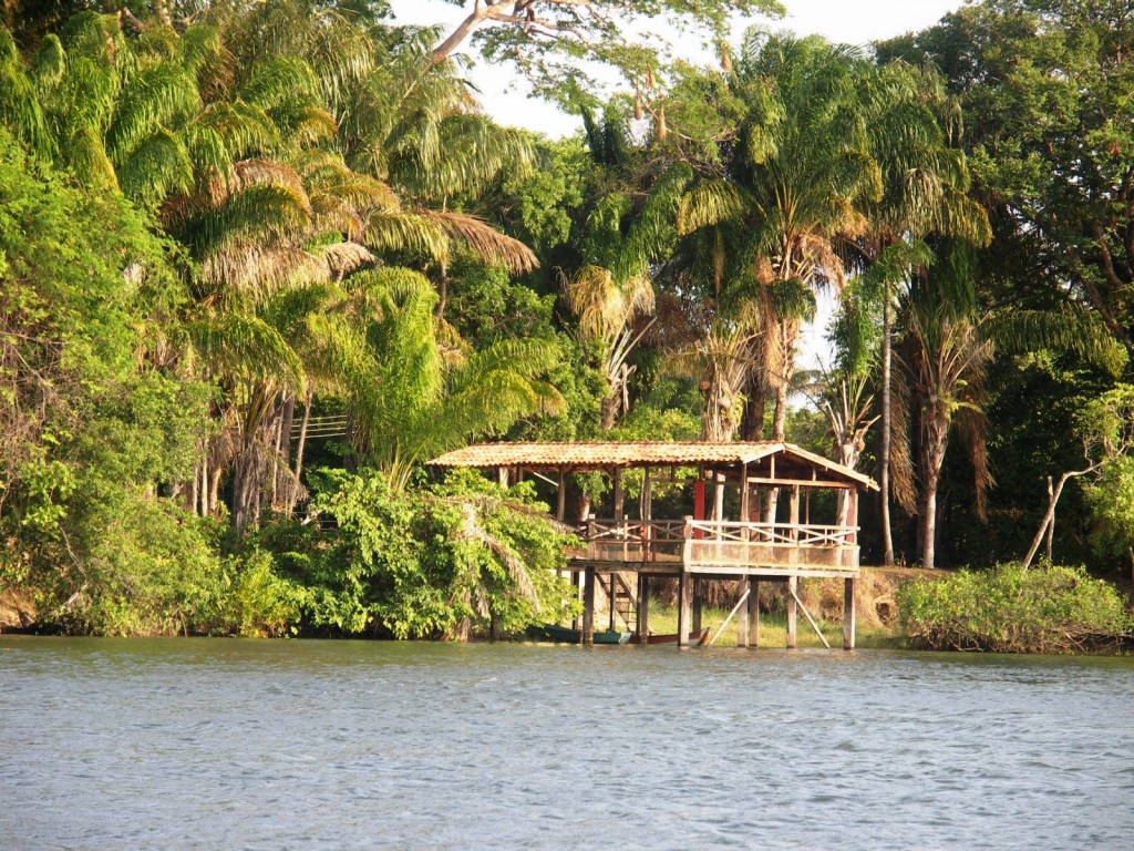 A house on stilts at the edge of the Amazon river. 
