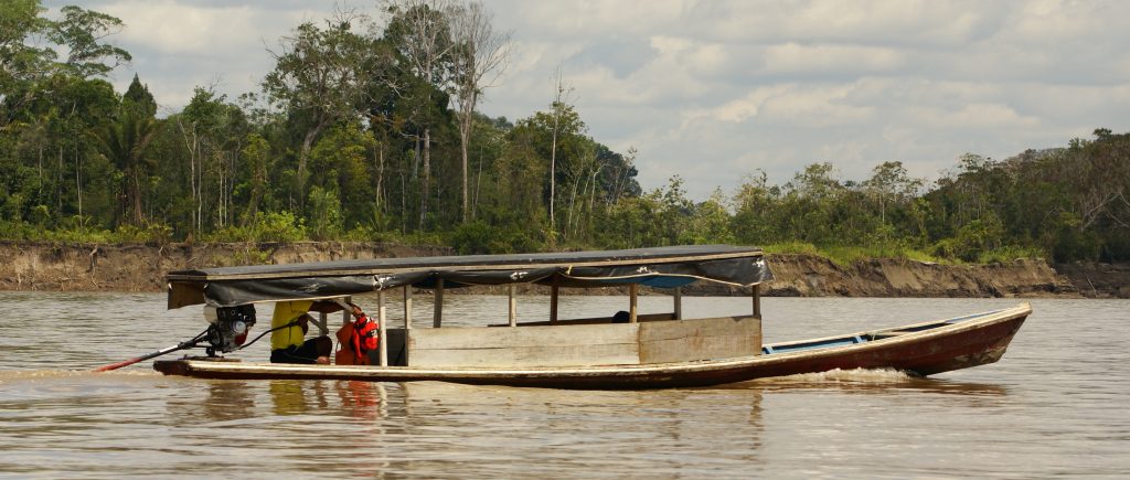 A motorised canoe travels along the Amazon river.