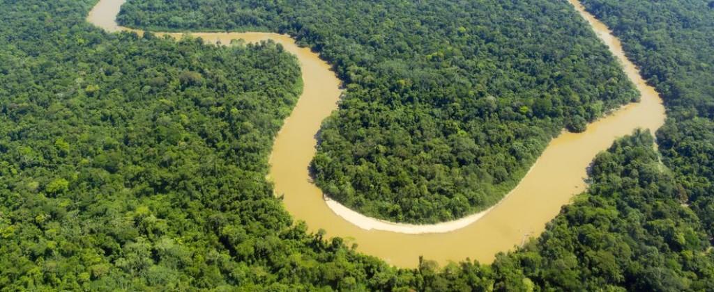 The Amazon river meanders through the jungle. 