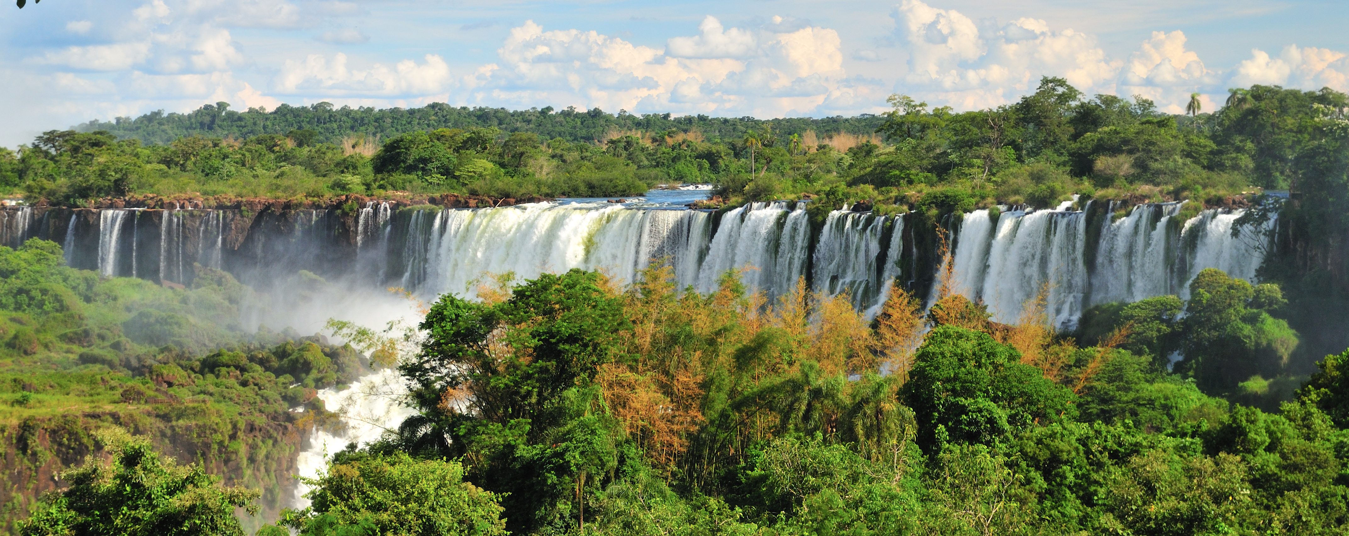 Water gushes out through the greenery at Iguazu falls. 