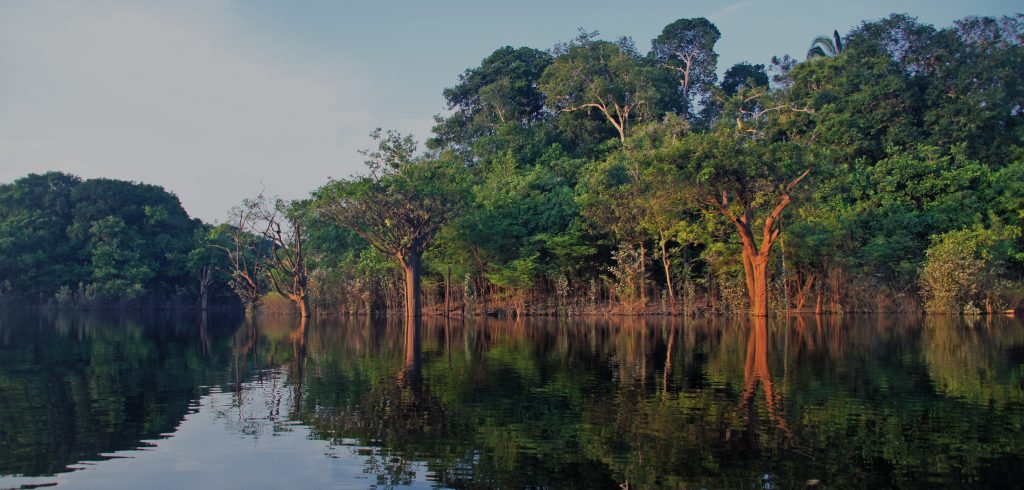 An artistic snapshot of the Amazon river at dusk. 