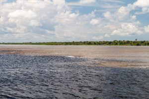 The mythical "Encounter of the waters," where the Rio Solimoes and Rio Negro run side by side but never mix. 