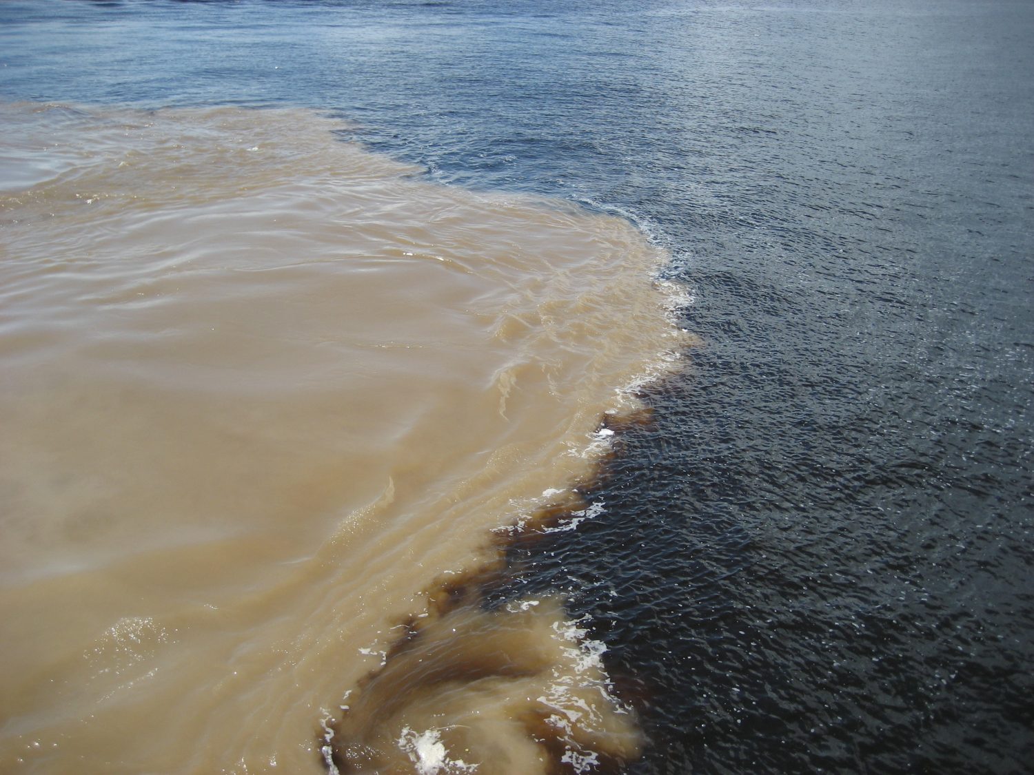 The two rivers Rio Negro and Rio Solimoes at the famous "encounter of the waters," one of the highlights on the Rio Negro cruise. 