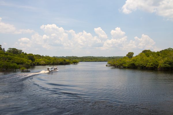 A motorboat excursion on the Amazon river. 