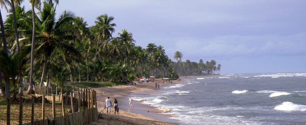 Shot showing praia do forte, Bahia, Brazil. 