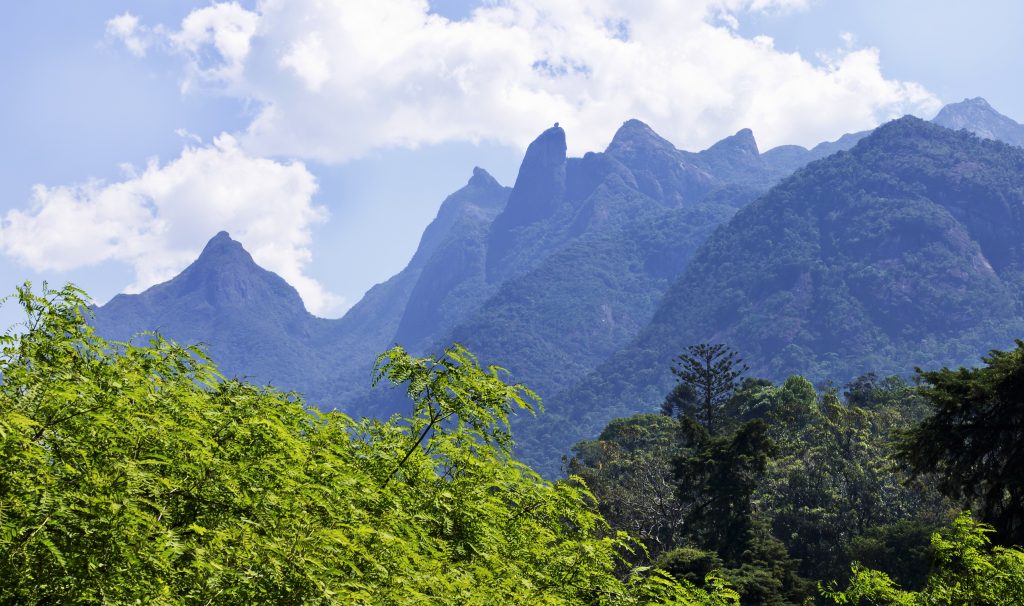 Mountains surrounding Tijuca forest in Rio de Janeiro.