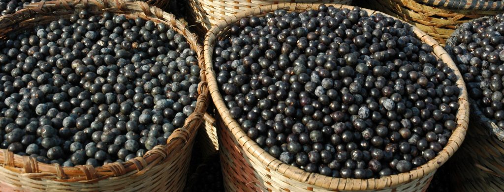 Two baskets of Acai at the ver-o-peso market.