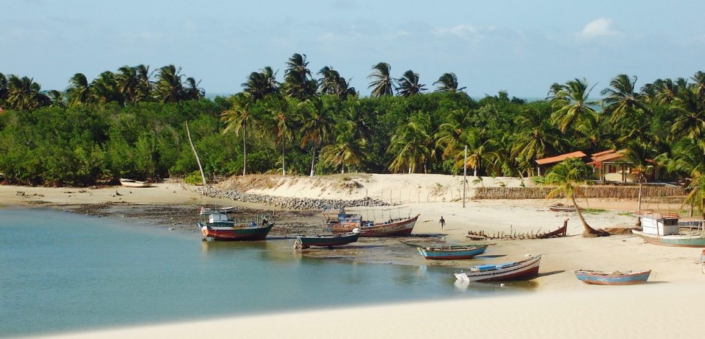 Jangadas on the beach in Brazil, set against a background of palmtrees. 