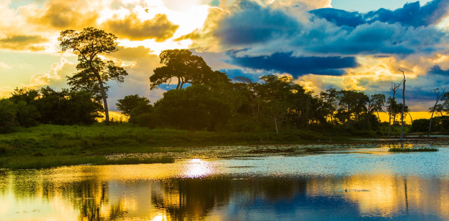 Pantanal north vegan