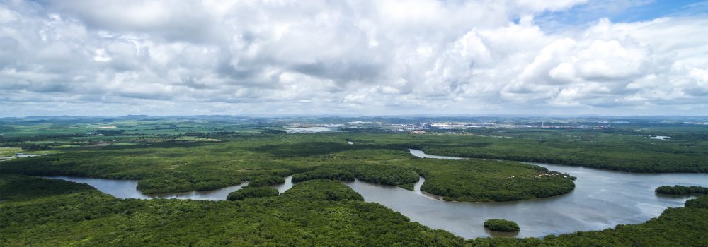 Amazon river meanders through forest.