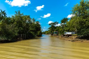 dark waters of the Rio Negro