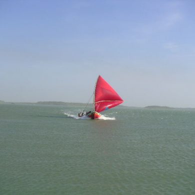 Nordeste Windsurfer.