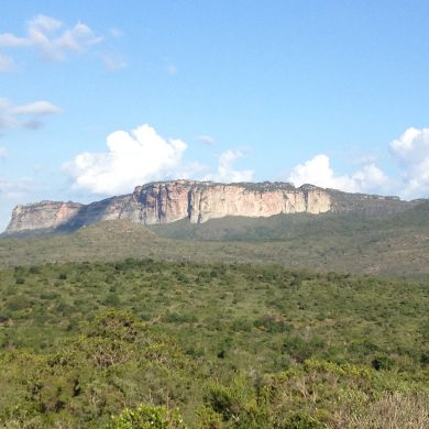 One of the many green covered mountains of Chapada Diamantina.