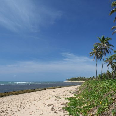 The deserted praia do Forte in Bahia.