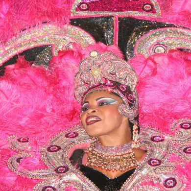 A huge pink dress worn by a woman at Rio de Janeiro carnival.