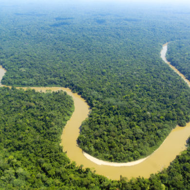 Shot from above of solimoes river in the Amazon.