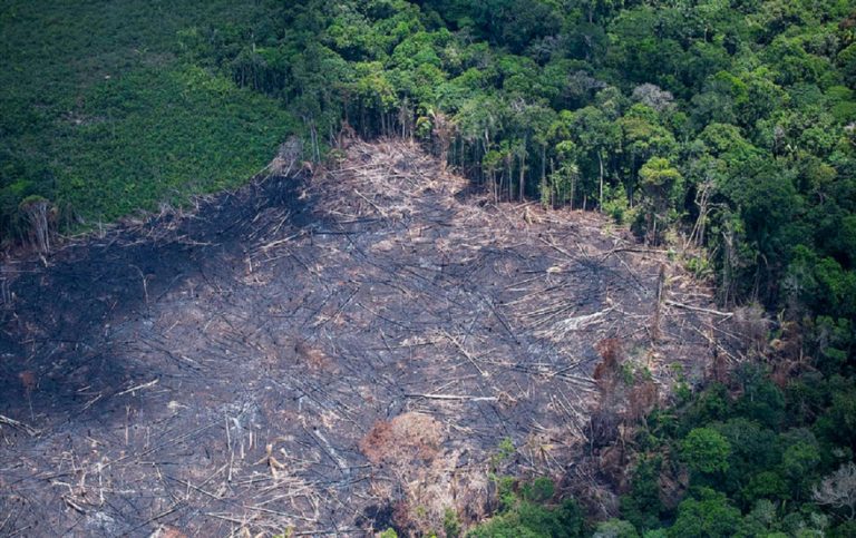 a part of the deforestation in the amazon rainforest 