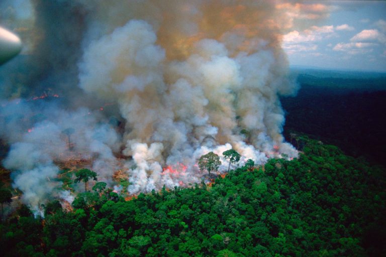 fires in the amazon rainforest 