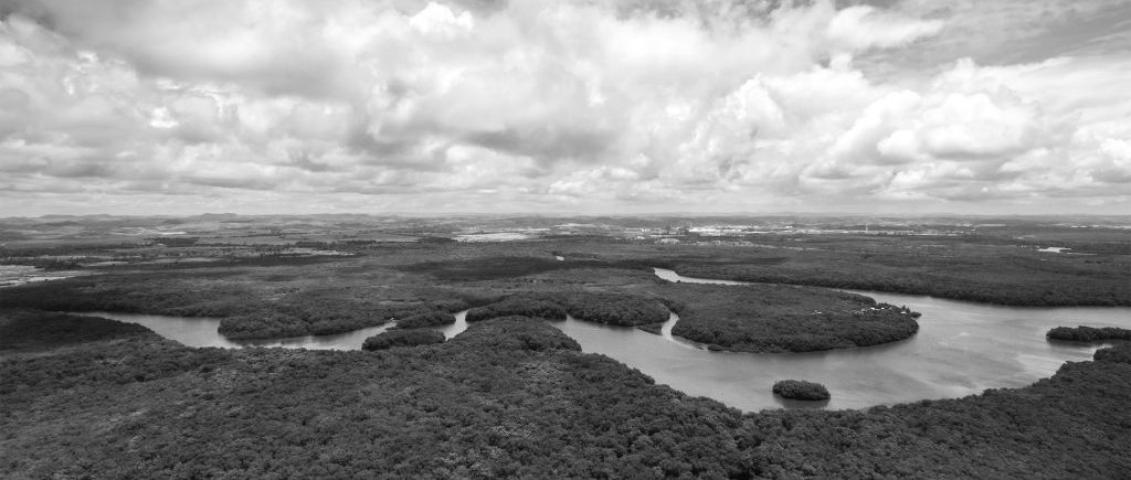 Black and White Amzon river from above.