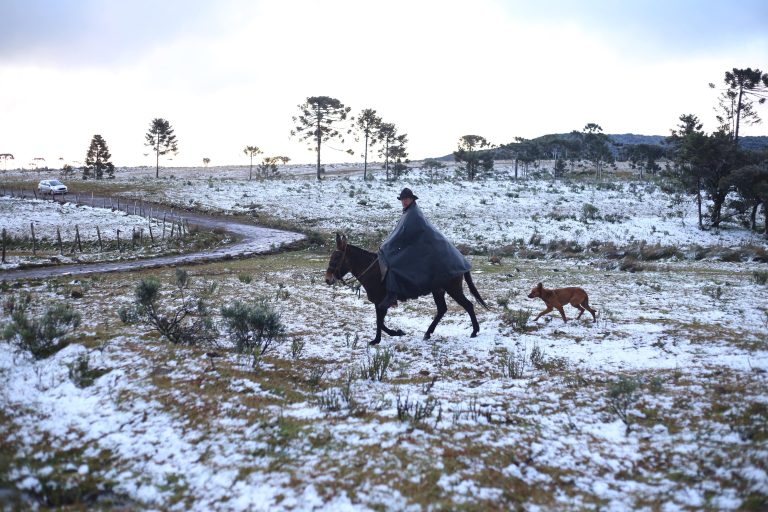 A snow landscape in Santa Catarina