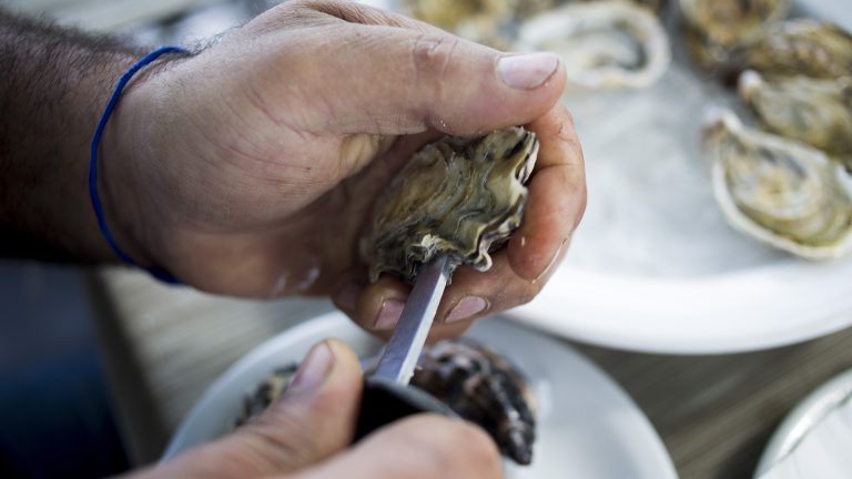 Oyster in Florianopolis