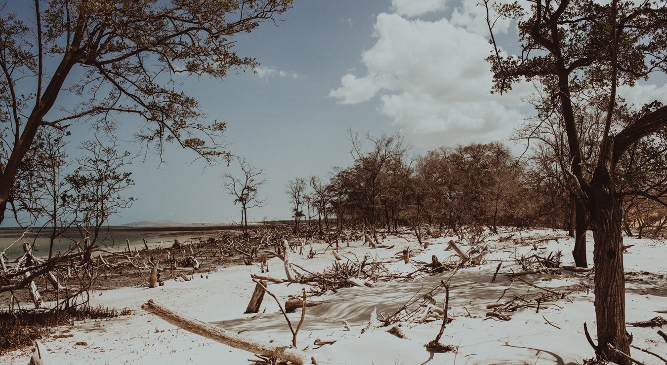 Jericoacoara - popular for Brazilian Oysters.