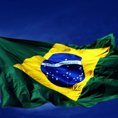 The brasilian flag