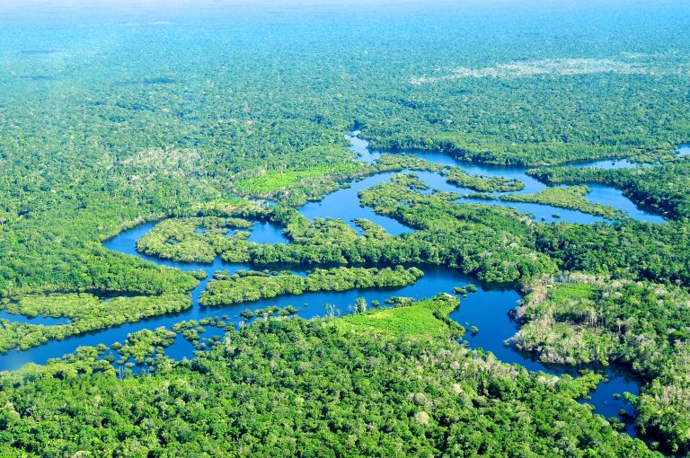 The Amazon river in Brazil 