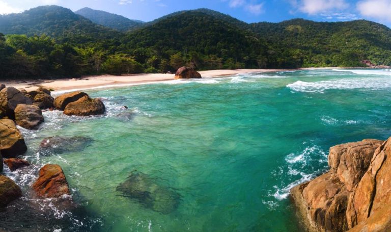 The green coast of Rio de Janeiro