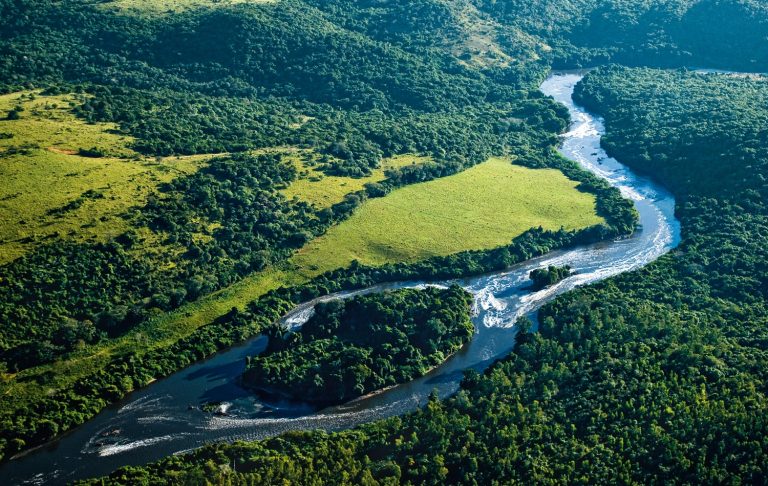 A river in the middle of the Atlantic Forest in Brazil 