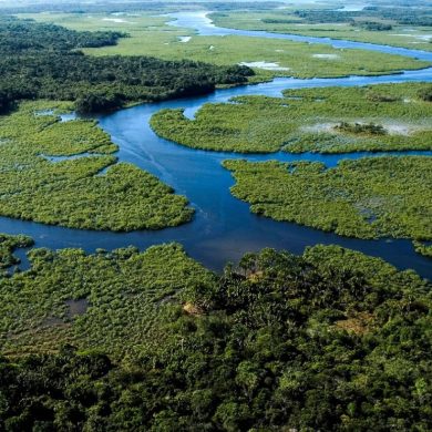 The Atlantic Forest of Brazil