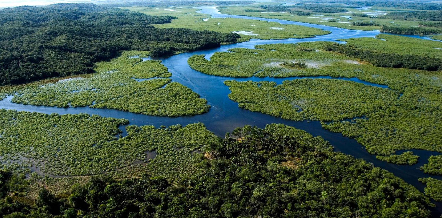 The Atlantic Forest of Brazil