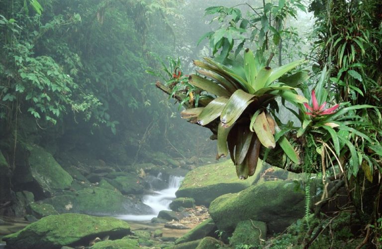 The Serra do Bacaina National Park