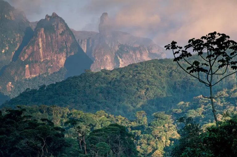 The Serra dos Orgaos National Park 